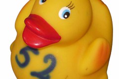 Ente